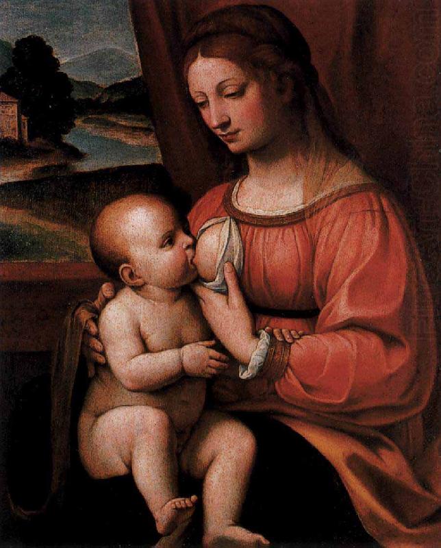 Nursing Madonna, Bernadino Luini